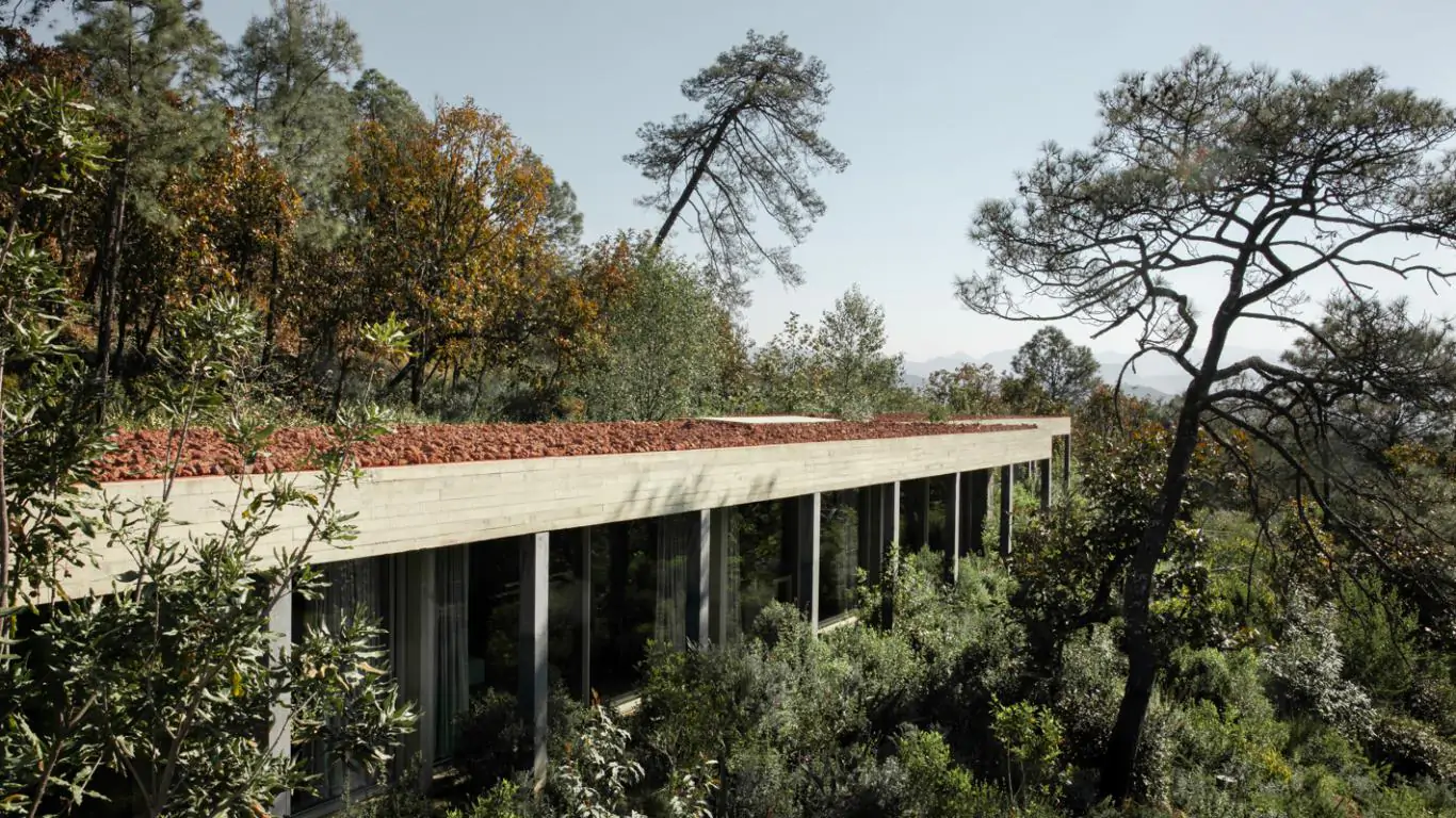 Rancho Piedra | Rest of Mexico