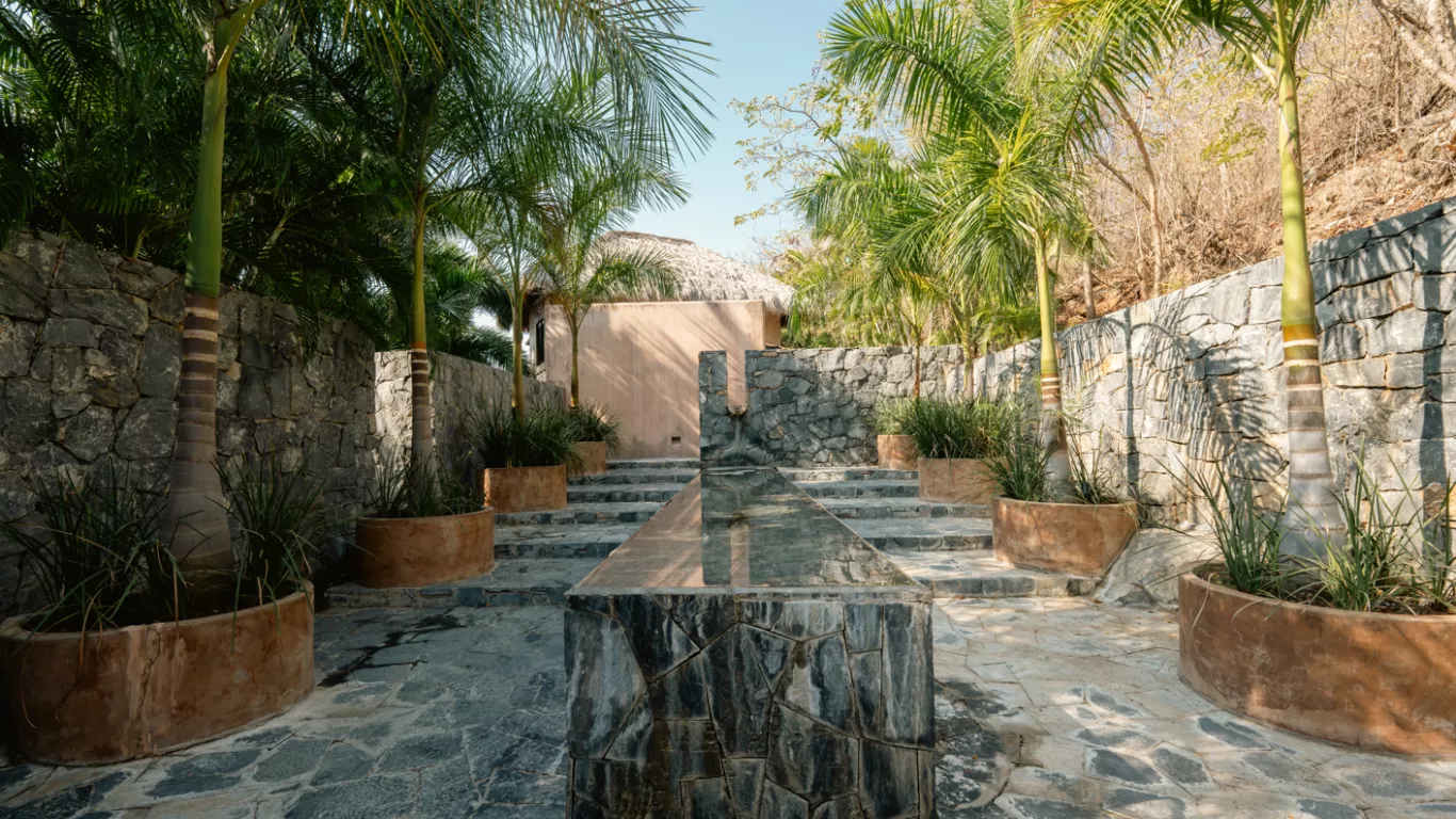 DOS Fiesta | Rest of Mexico