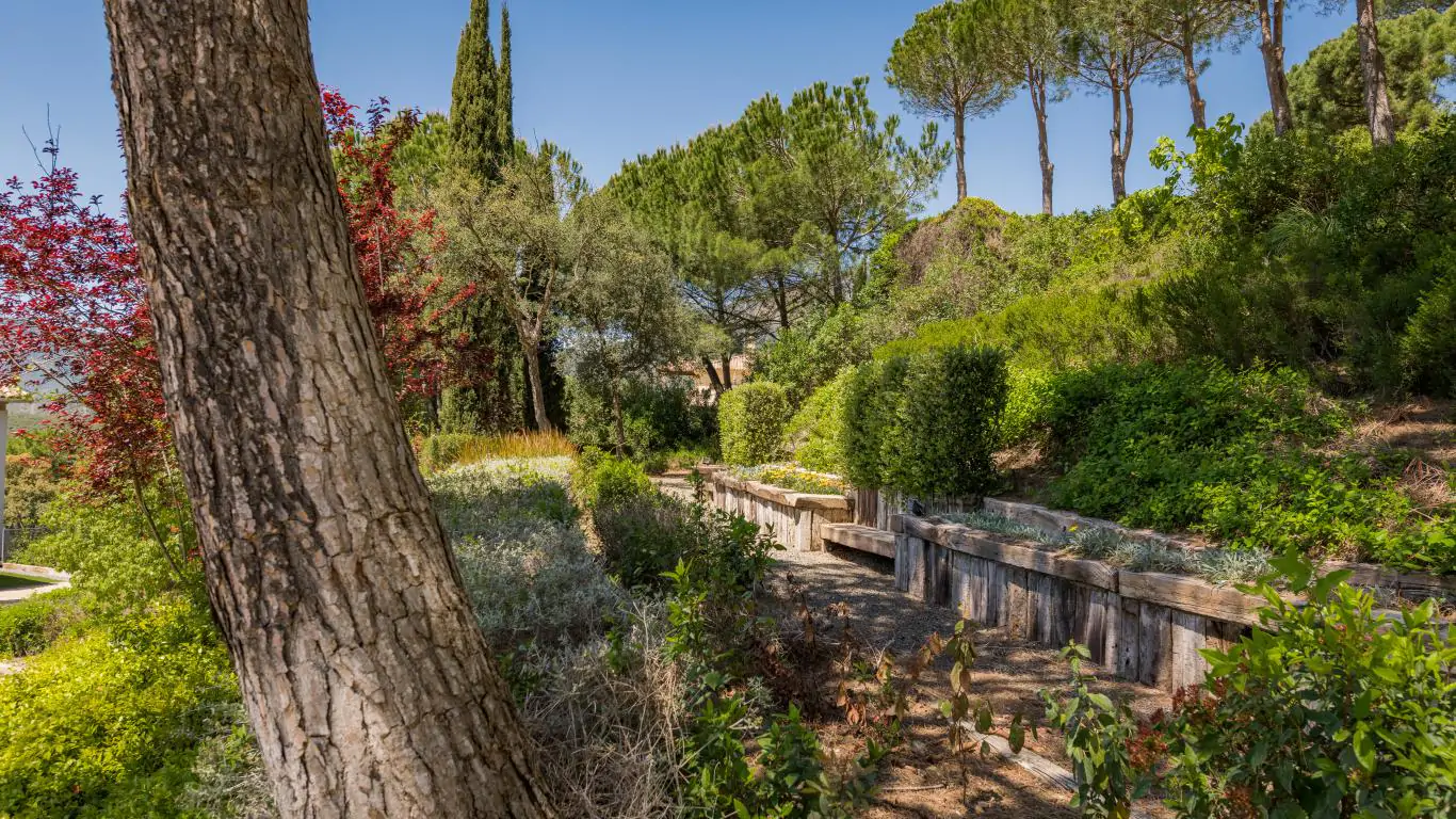 Villa Palomino | Marbella