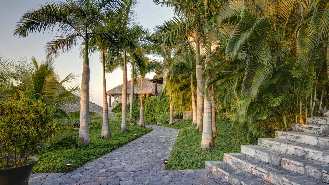 DOS Fiesta | Rest of Mexico