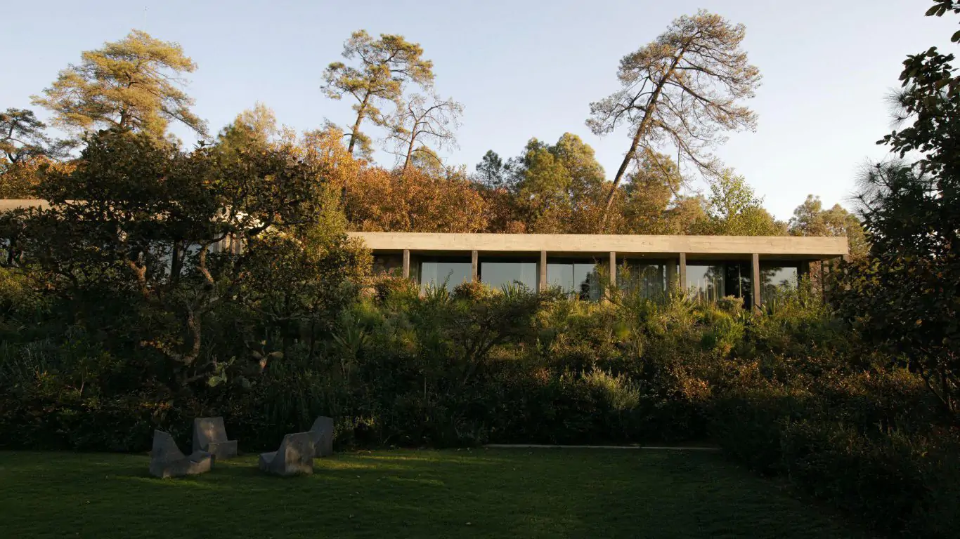 Rancho Piedra | Rest of Mexico