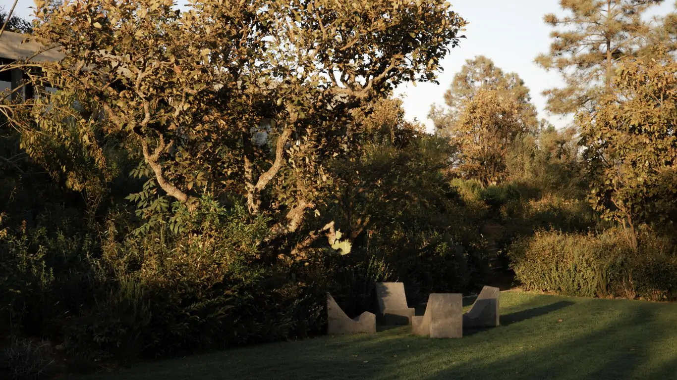 Rancho Piedra | Rest of Mexico