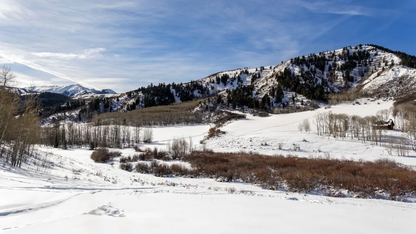 Villa Sarah | Aspen