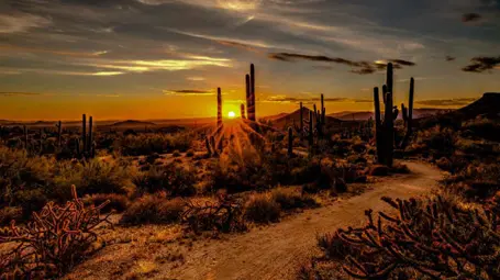 Arizona Travel Guide