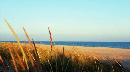 Hamptons Travel Guide