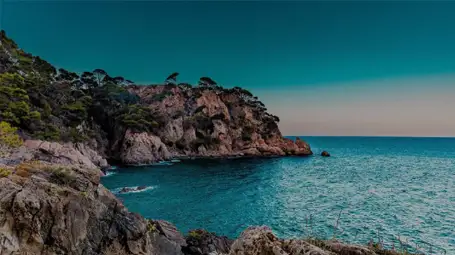 Marbella Travel Guide