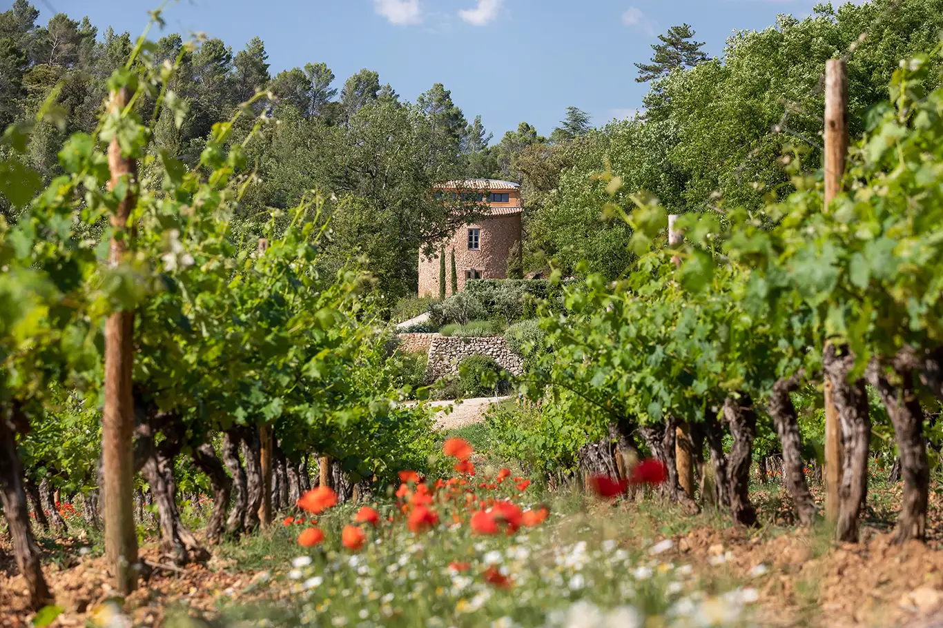 Château Margüi