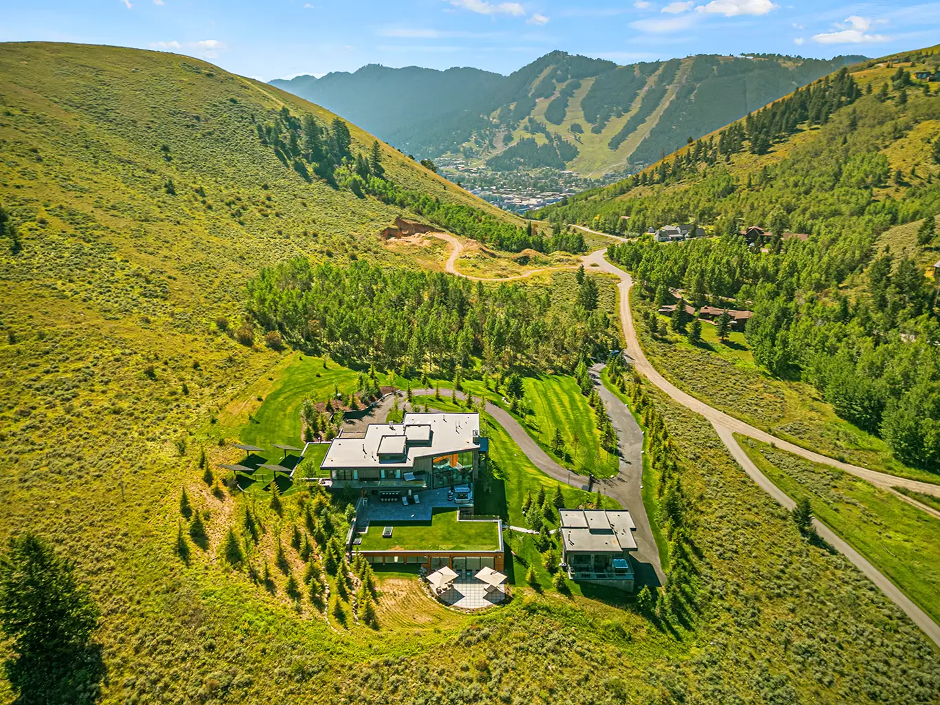 The Panda Ranch