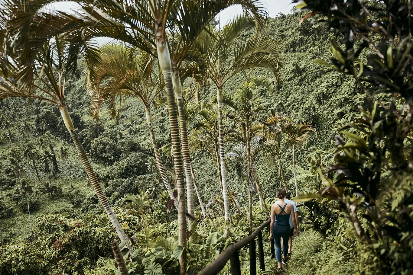 COMO Laucala Island