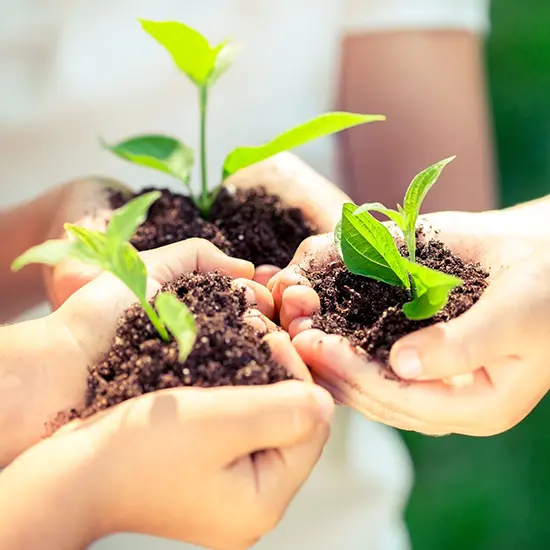 Sustainability